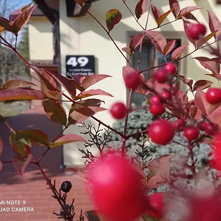 Πανσιόν 49 Le Contesse Ide Meolo