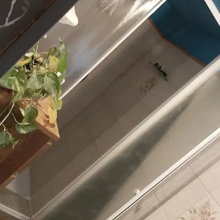 49 Le Contesse Ide * Meolo