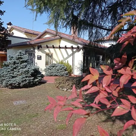 49 Le Contesse Ide *